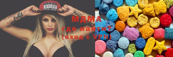 гашик Алексин