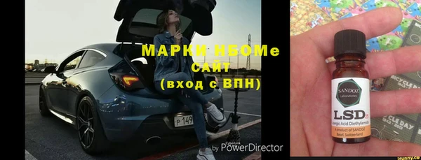 гашик Алексин