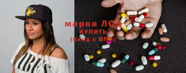 гашик Алексин