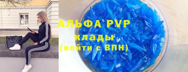 гашик Алексин